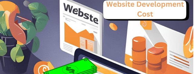 Website Development  Cost  in India 2024